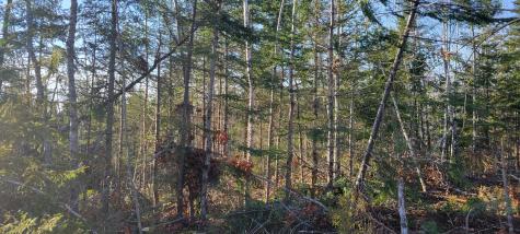 17-1 Sugar Hill Road Eastbrook ME 04634