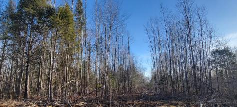 17-1 Sugar Hill Road Eastbrook ME 04634