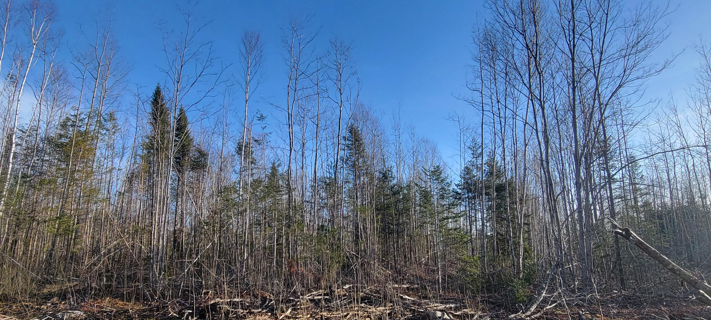 17-1 Sugar Hill Road Eastbrook ME 04634