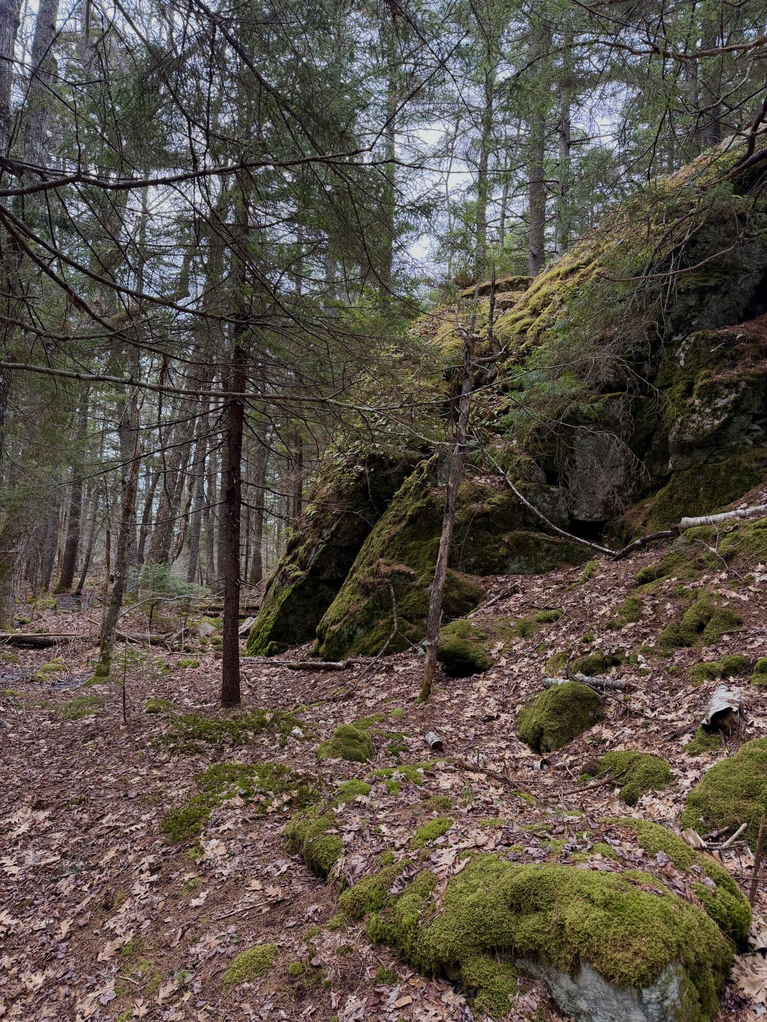 Lot 85 Pension Ridge Road Boothbay ME 04537