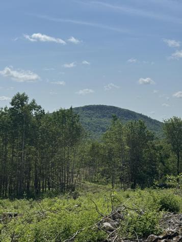 365 Monroe Road Winterport ME 04496
