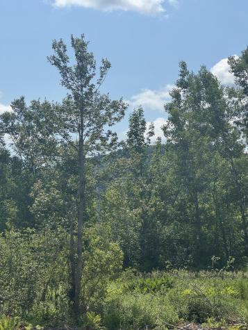 365 Monroe Road Winterport ME 04496