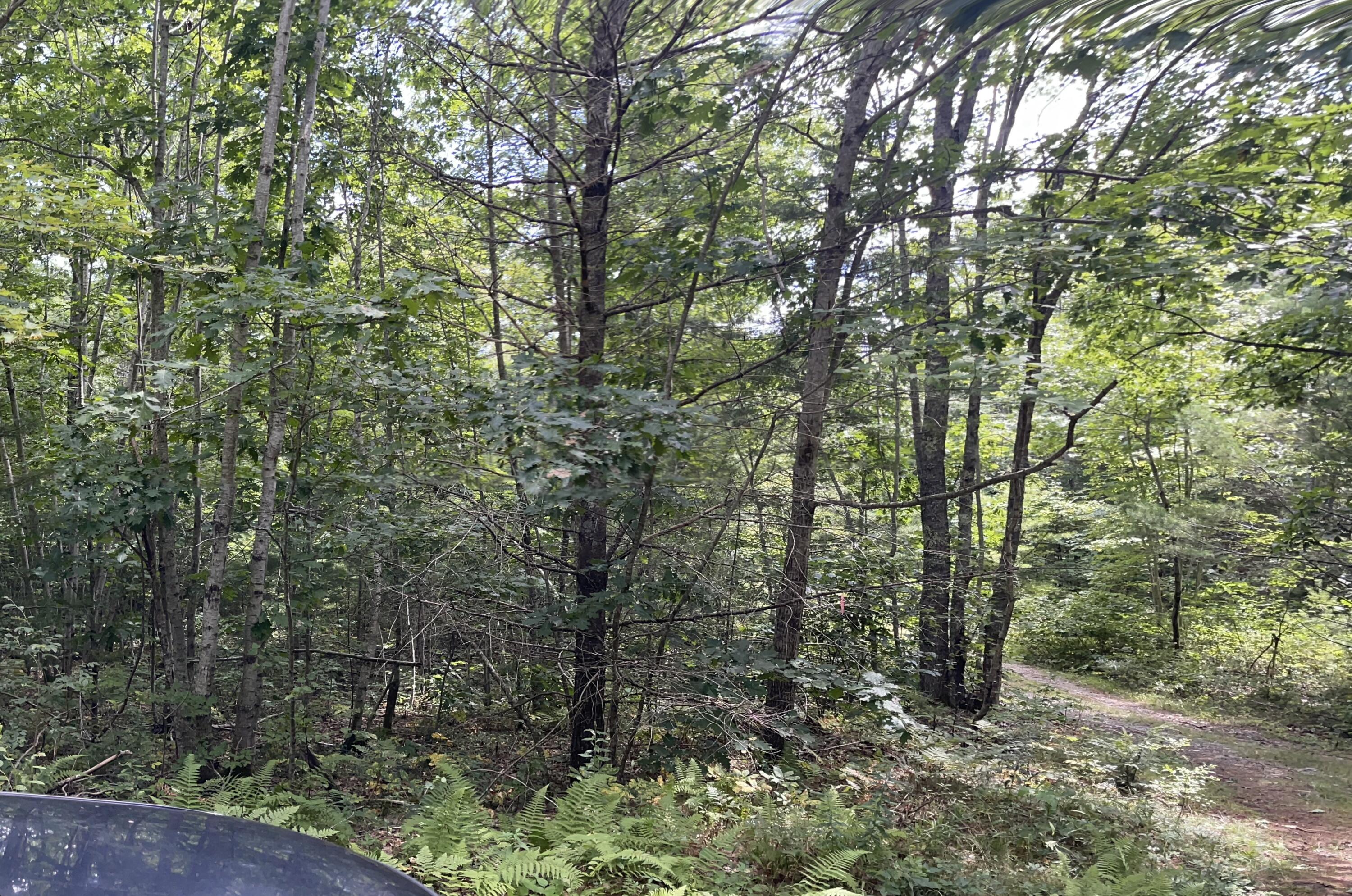 Lot 68-11 Shore Road Bremen ME 04551