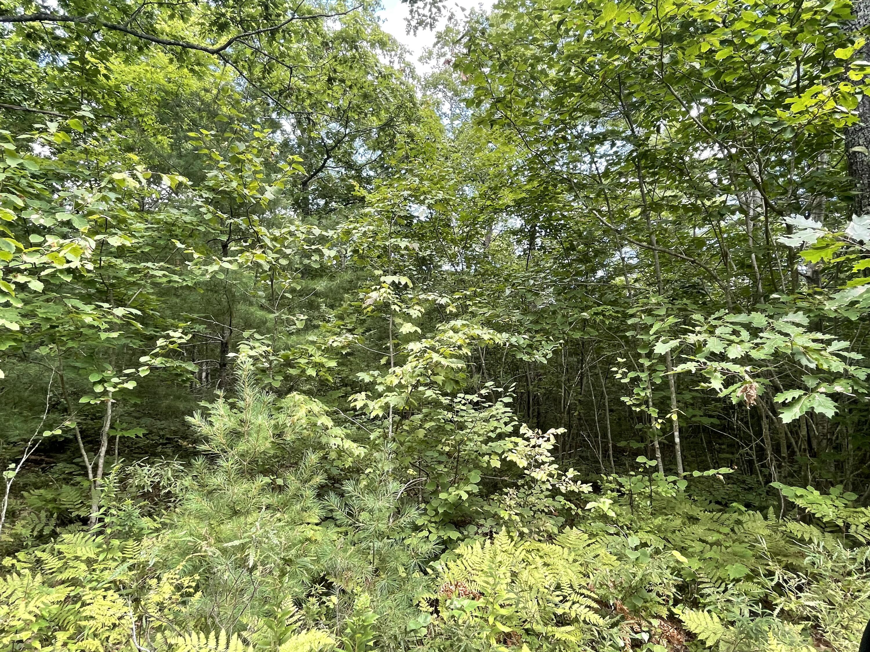 Lot 68-11 Shore Road Bremen ME 04551