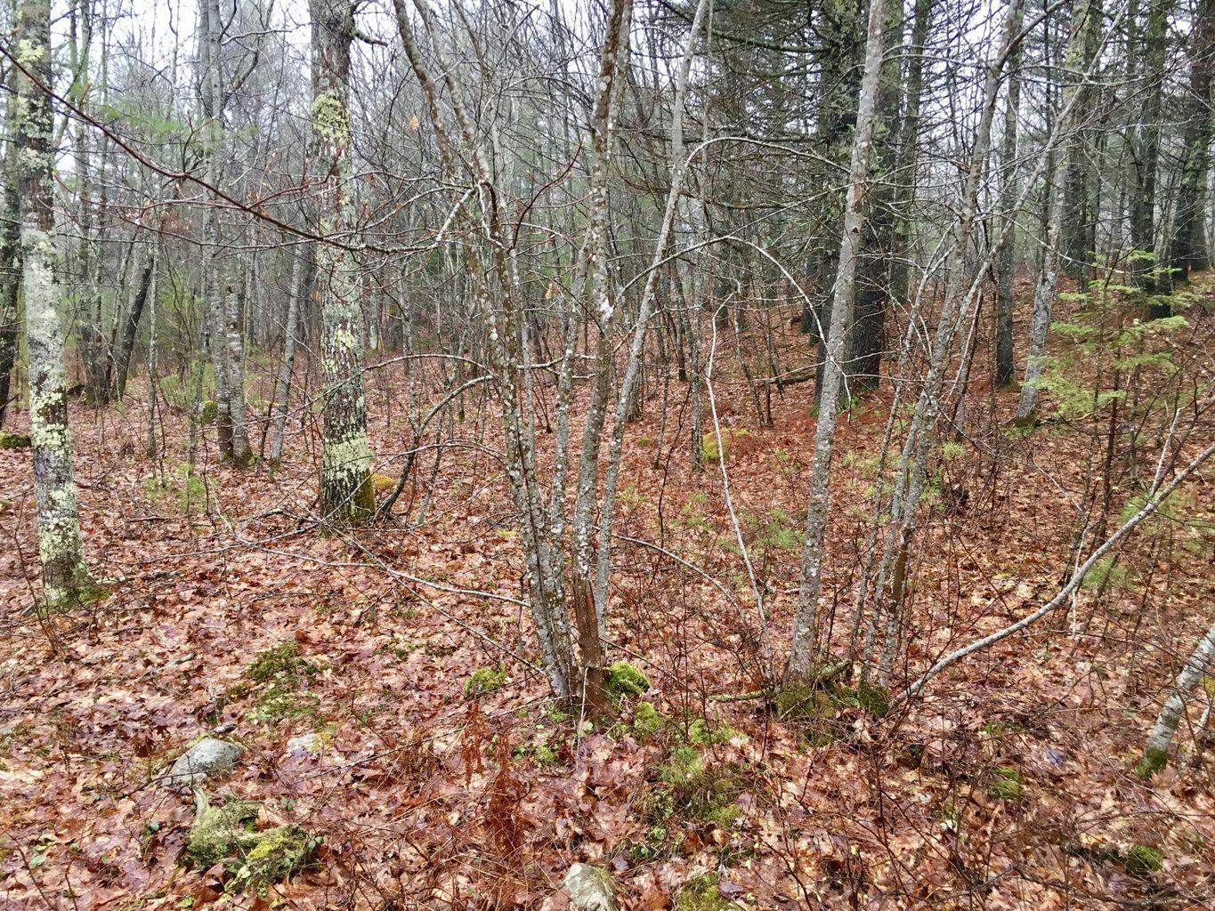 Lot 68-11 Shore Road Bremen ME 04551