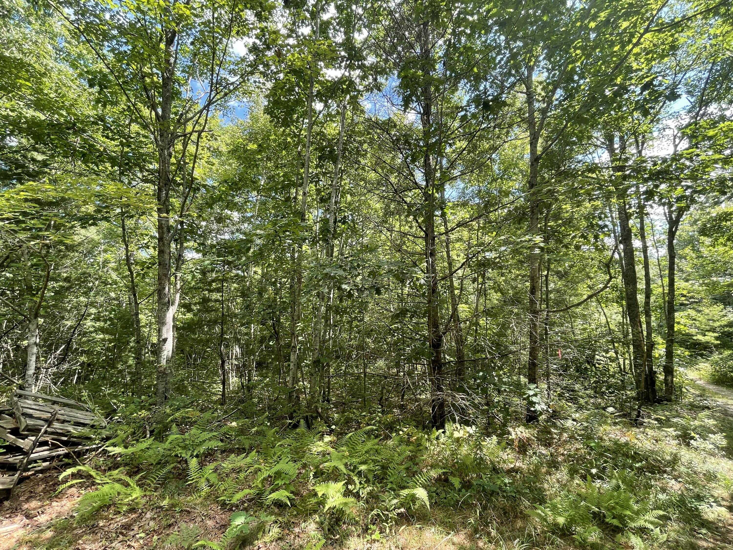 Lot 68-11 Shore Road Bremen ME 04551