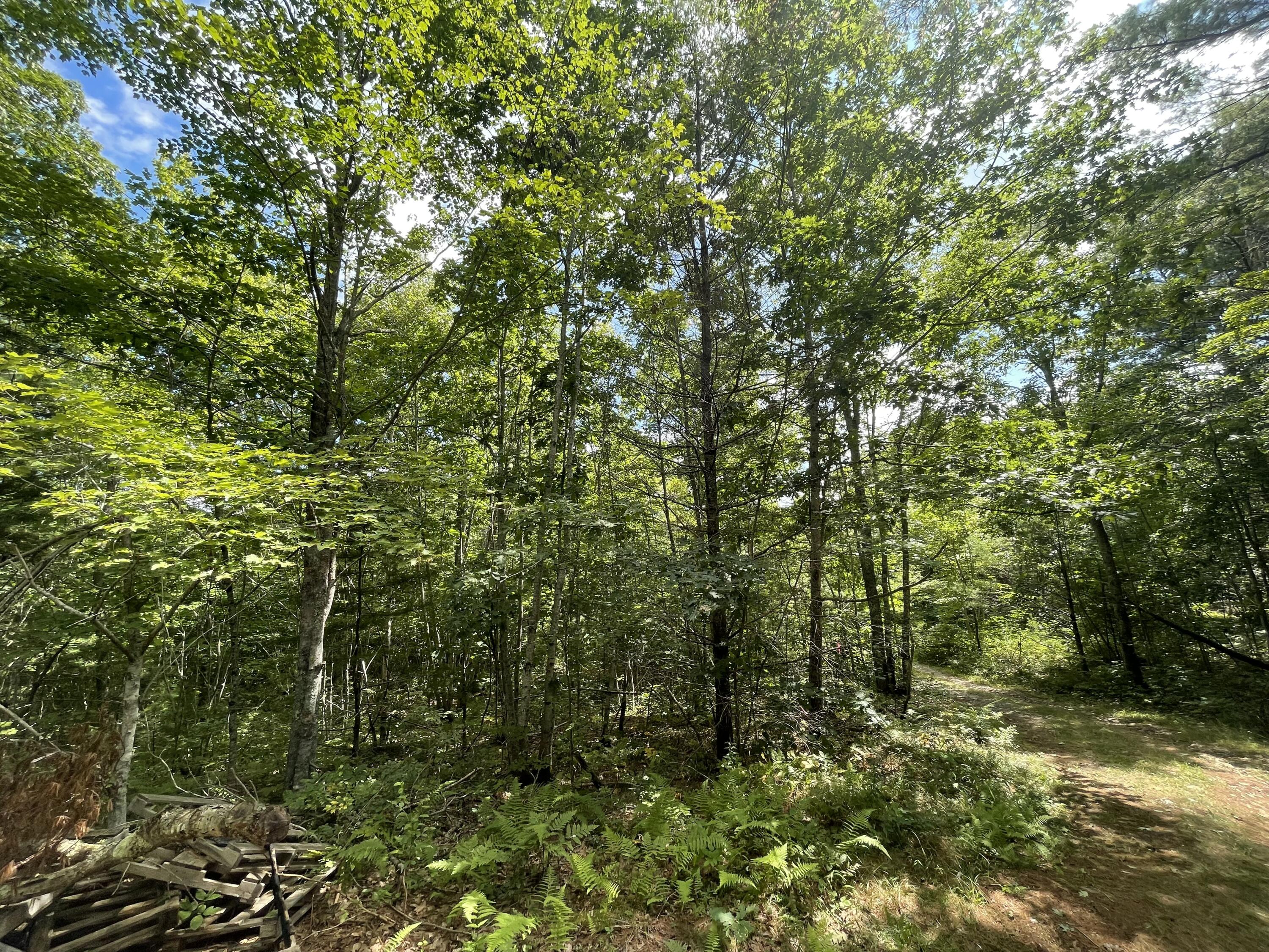 Lot 68-11 Shore Road Bremen ME 04551