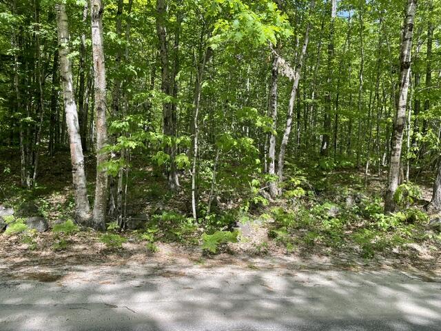 0 Carsley Road Harrison ME 04040