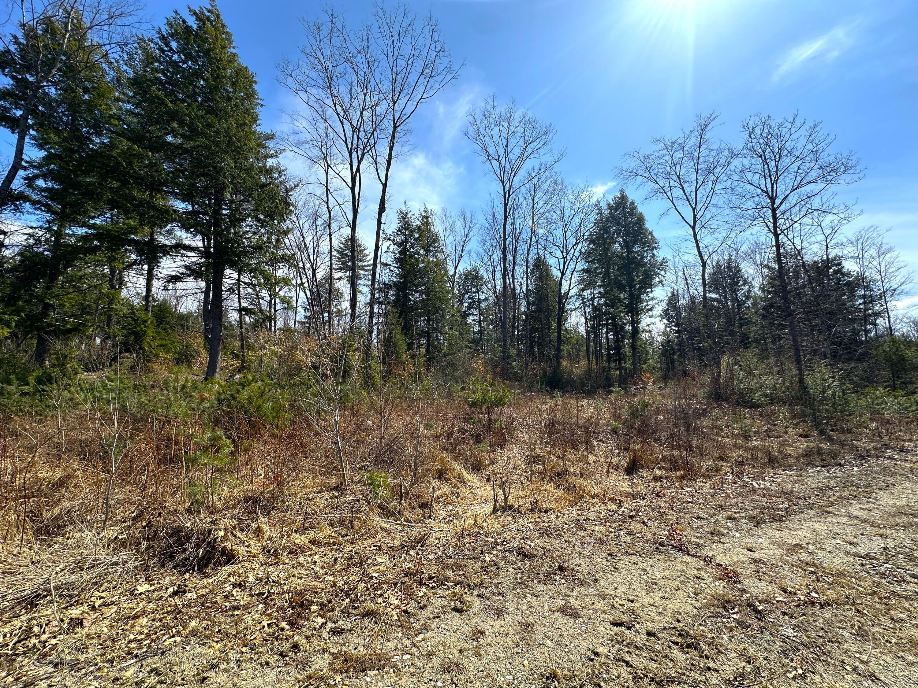 00 North Road Parsonsfield ME 04047