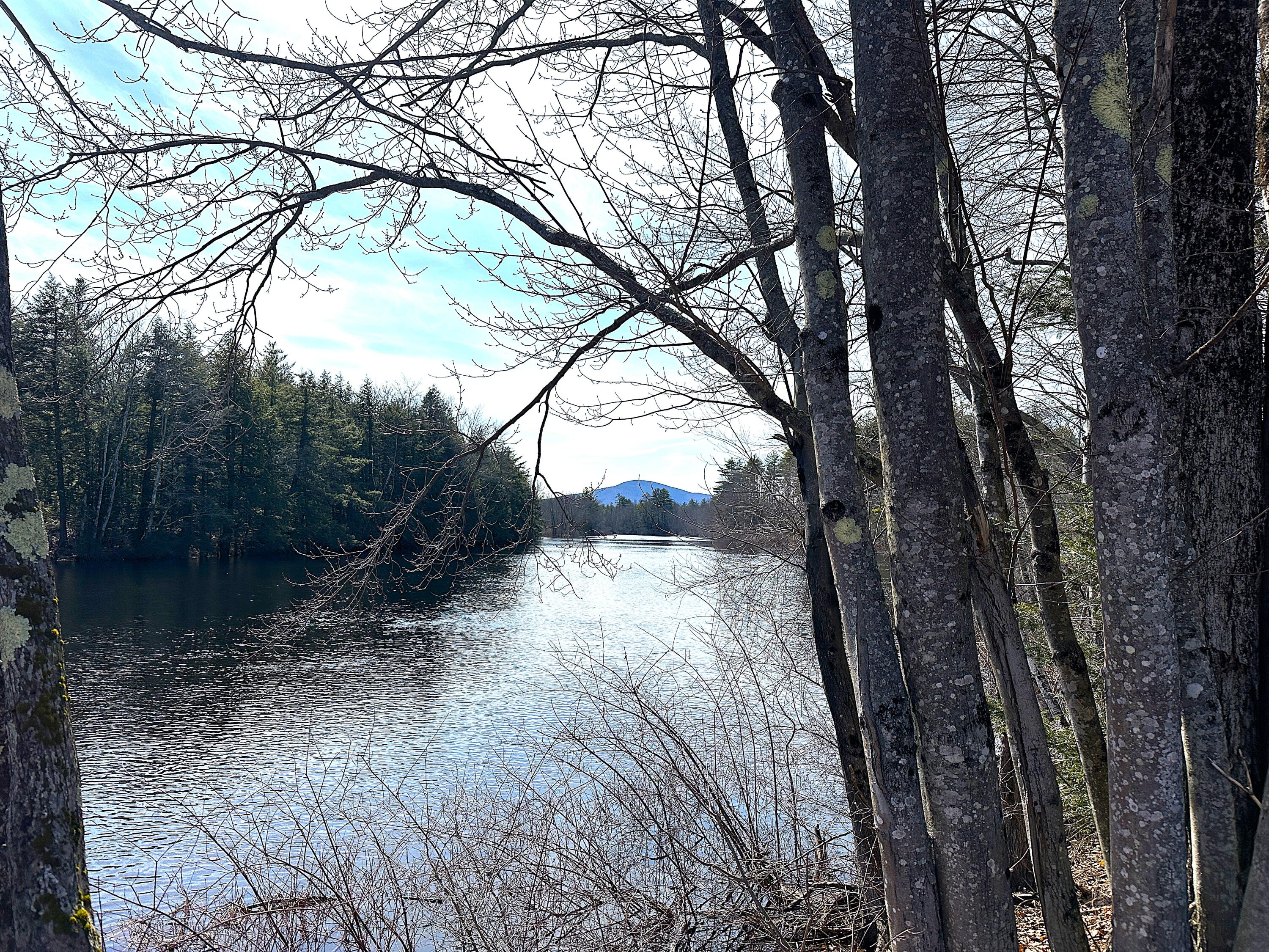 00 North Road Parsonsfield ME 04047