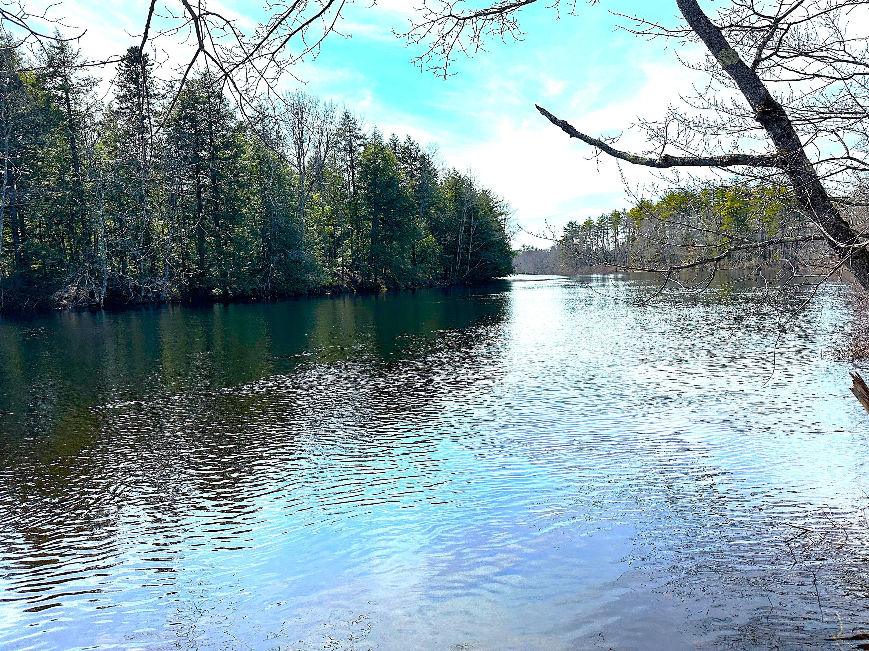 00 North Road Parsonsfield ME 04047