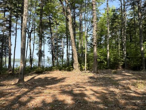 5 Taylor Woods Road Waltham ME 04605