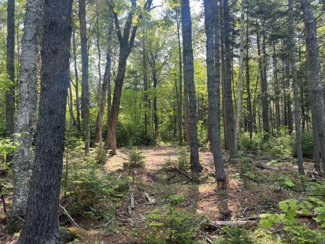 5 Taylor Woods Road Waltham ME 04605