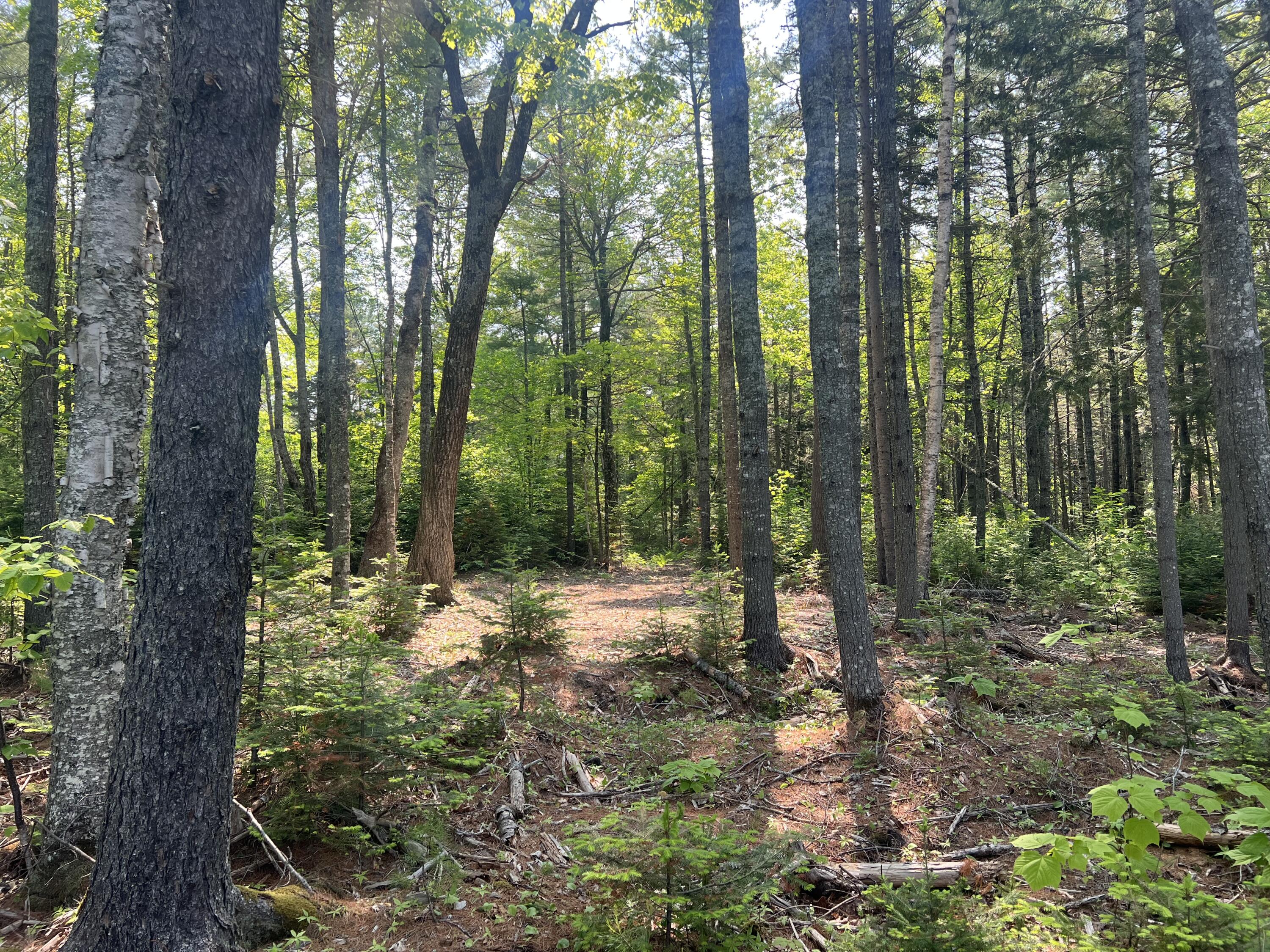 5 Taylor Woods Road Waltham ME 04605