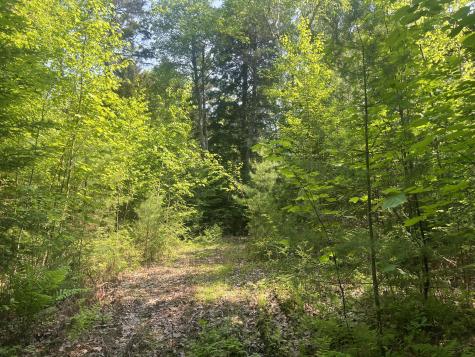 5 Taylor Woods Road Waltham ME 04605