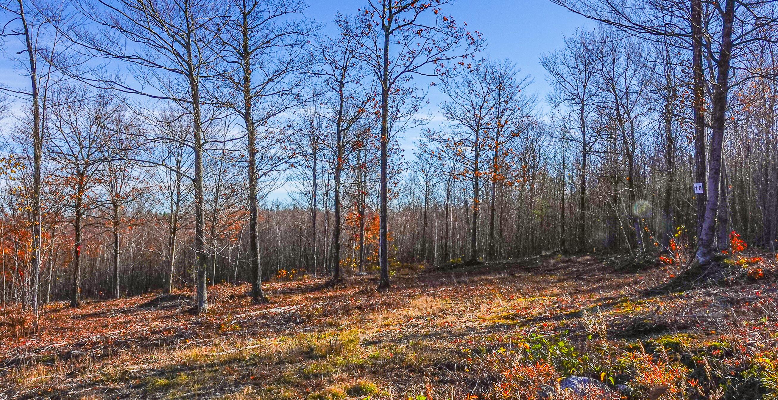 Lot 10 Mine Road Stoneham ME 04231
