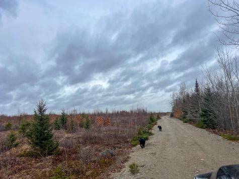 M10L1 Route 1 Jonesboro ME 04648