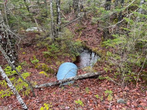 M10L1 Route 1 Jonesboro ME 04648