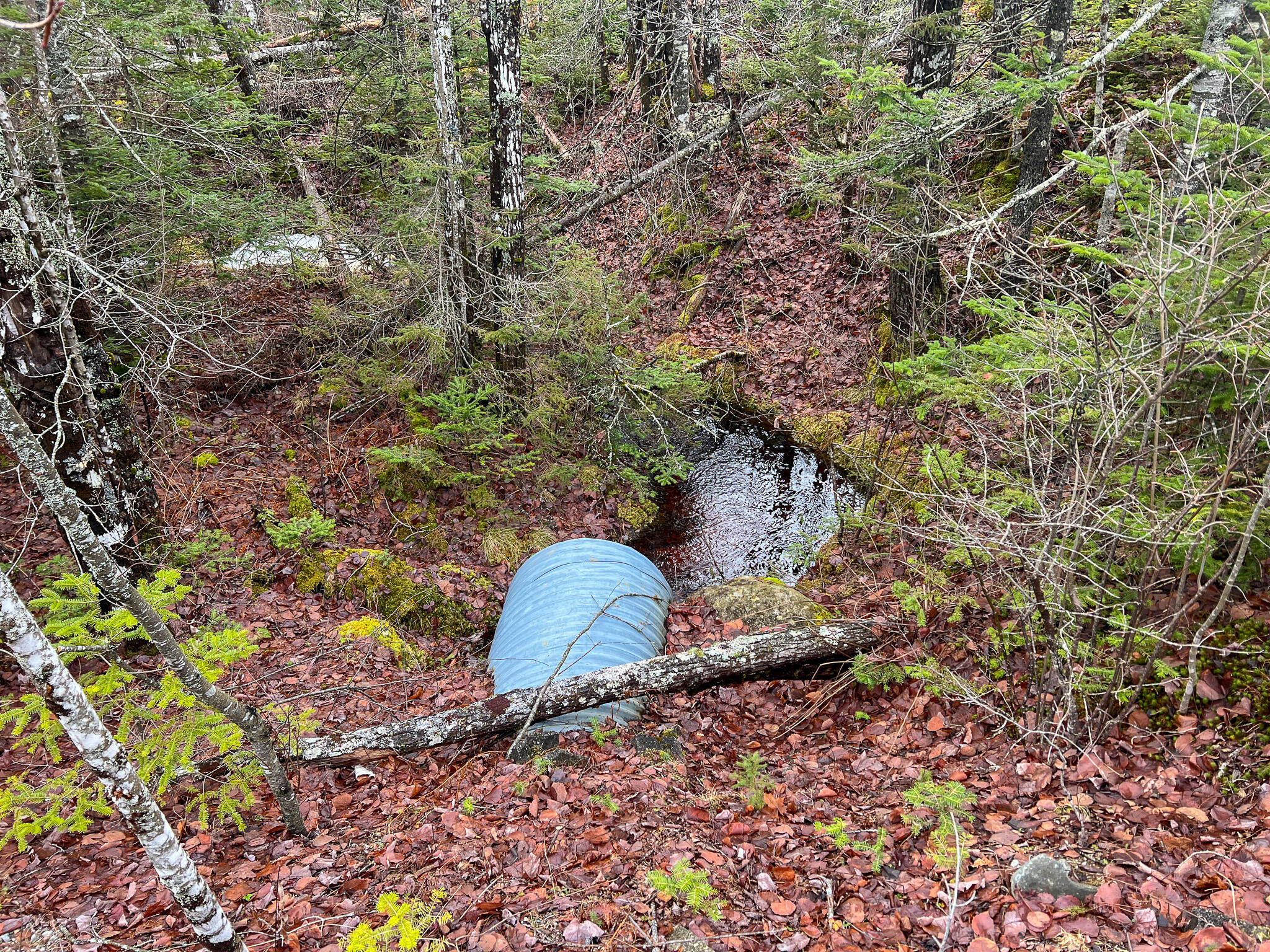 M10L1 Route 1 Jonesboro ME 04648