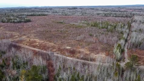 M10L1 Route 1 Jonesboro ME 04648