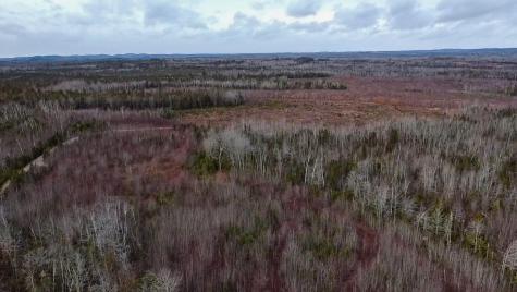 M10L1 Route 1 Jonesboro ME 04648