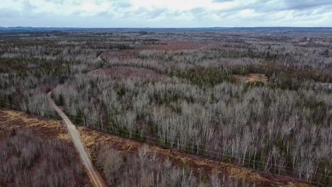 M10L1 Route 1 Jonesboro ME 04648