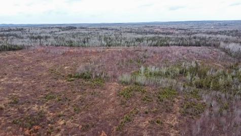 M10L1 Route 1 Jonesboro ME 04648