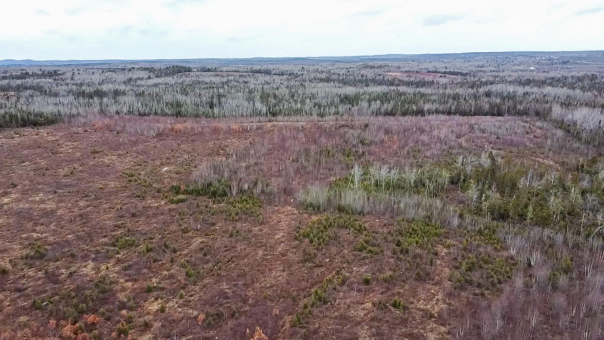 M10L1 Route 1 Jonesboro ME 04648