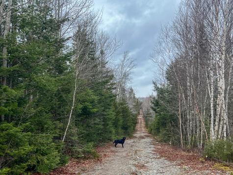 M10L1 Route 1 Jonesboro ME 04648