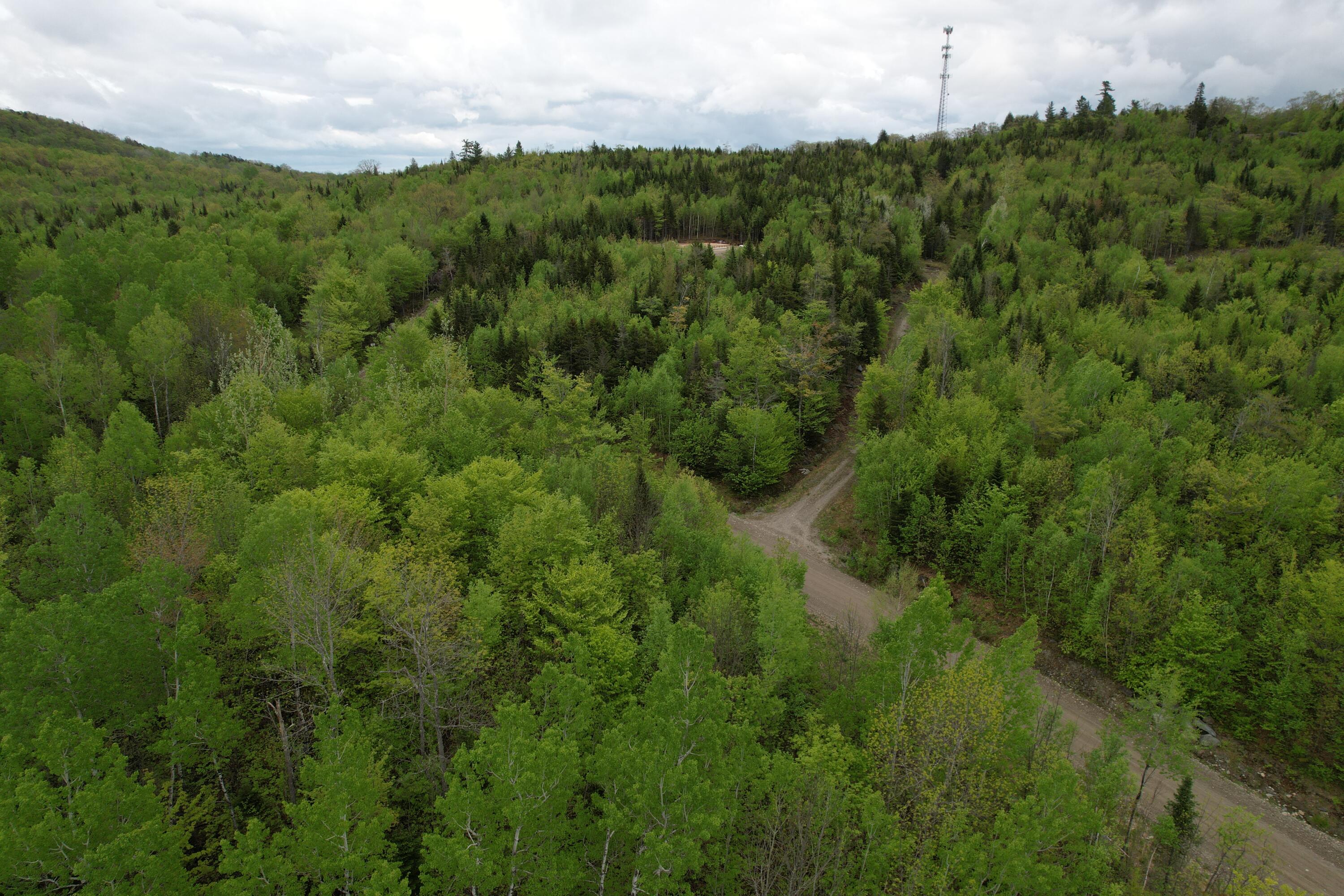 Lot 9 Final Drive Kingfield ME 04947