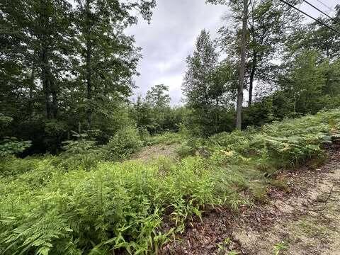 R01-044D Christian Hill Road Lovell ME 04051