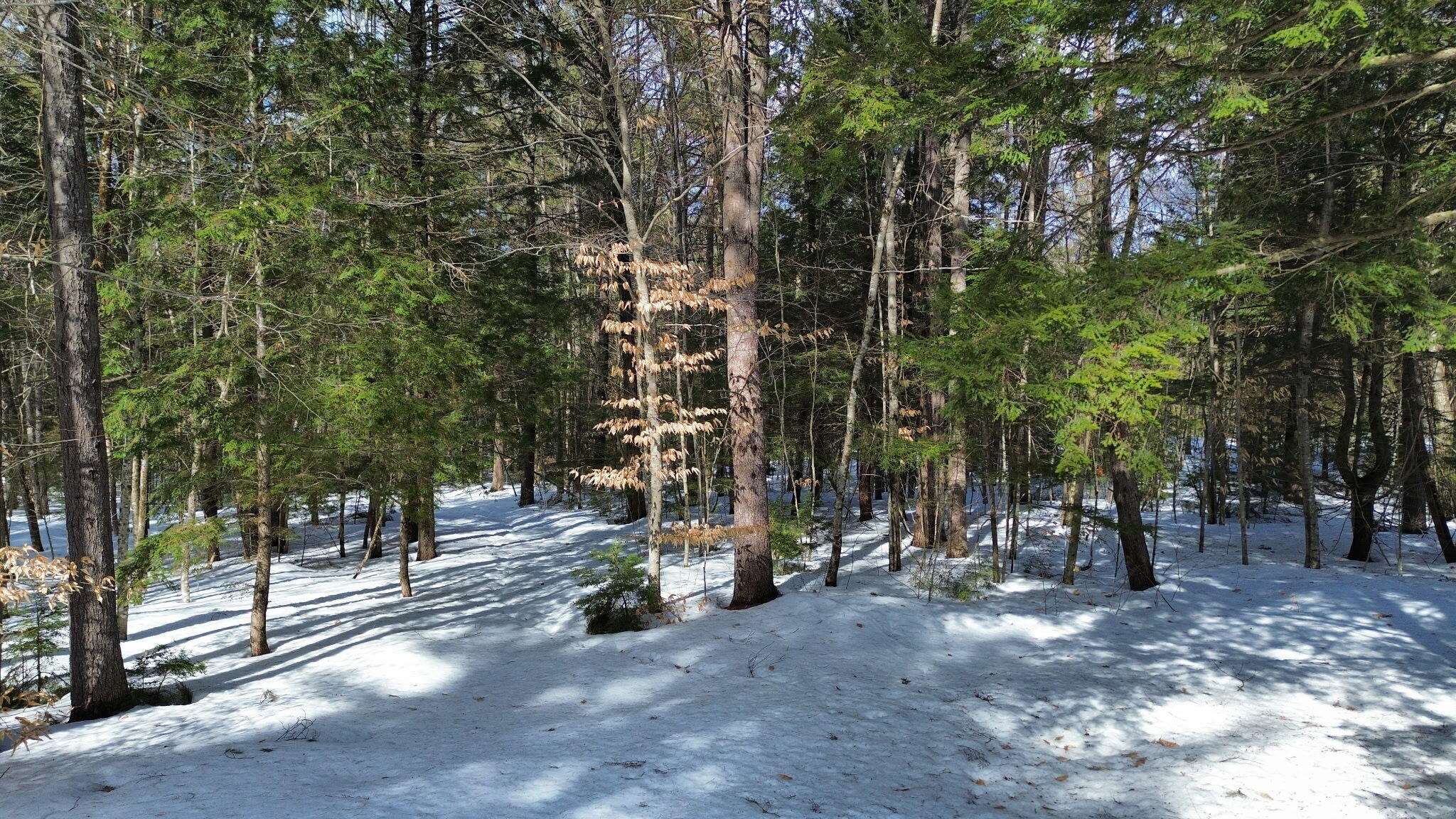 158 Rocky Road Otisfield ME 04270