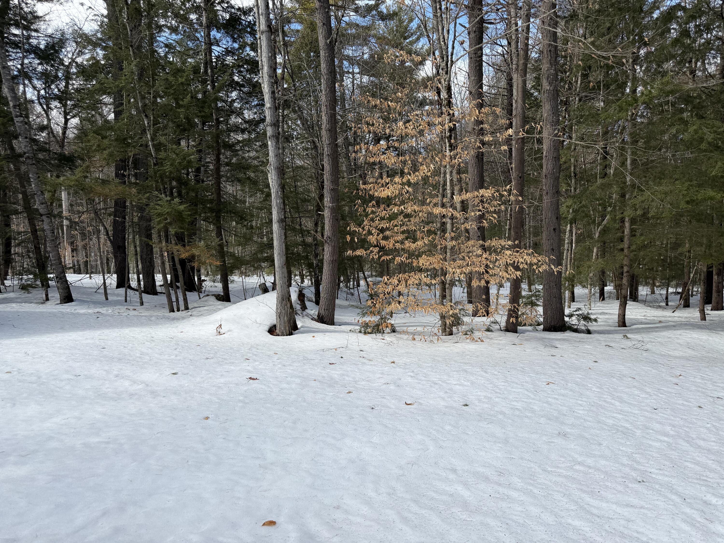 158 Rocky Road Otisfield ME 04270