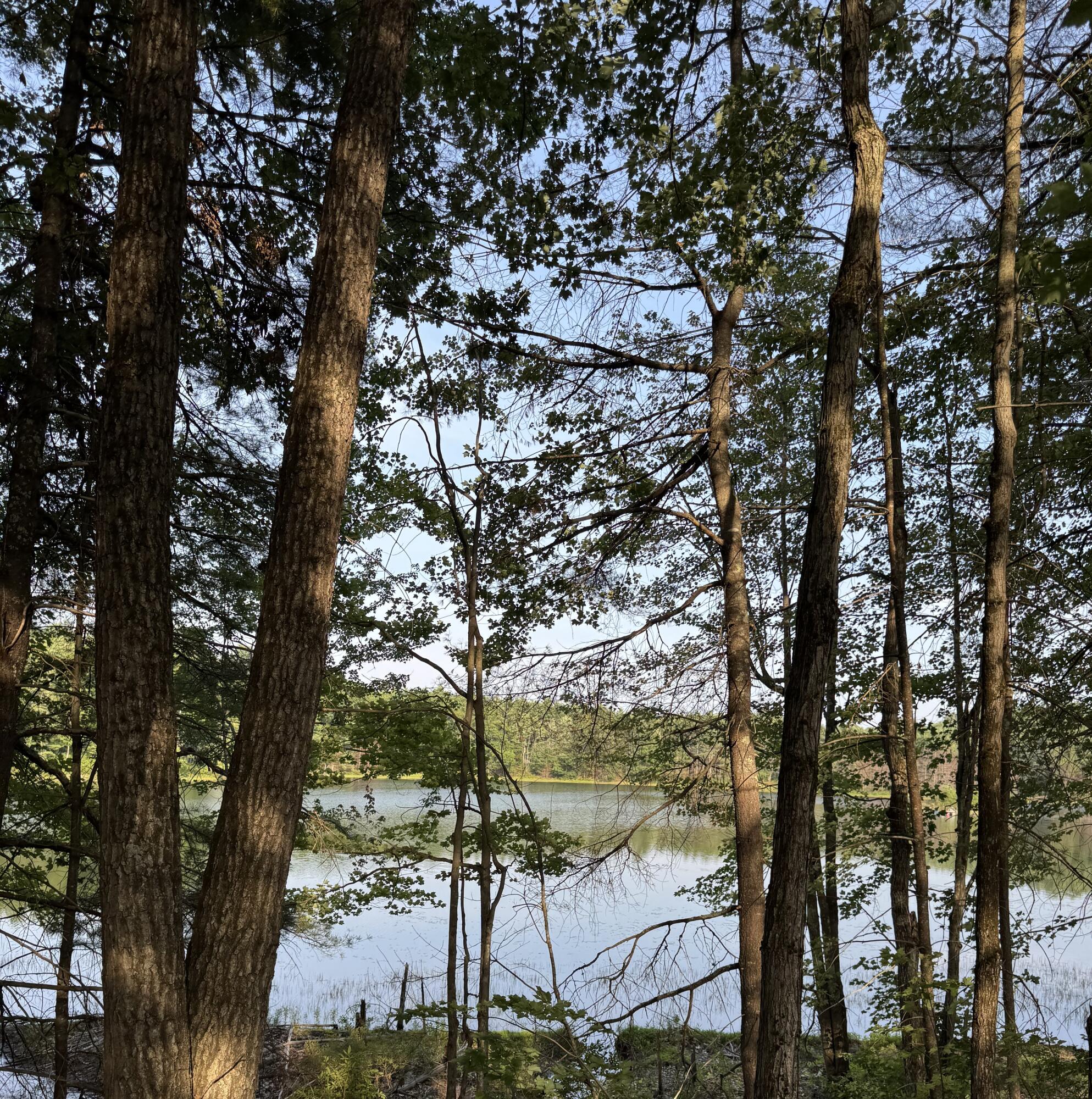 Lot #6 Anderson Drive Leeds ME 04263