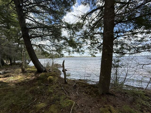 LOT12PART Old Indian Trail Road East Machias ME 04630