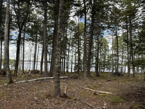 LOT12PART Old Indian Trail Road East Machias ME 04630