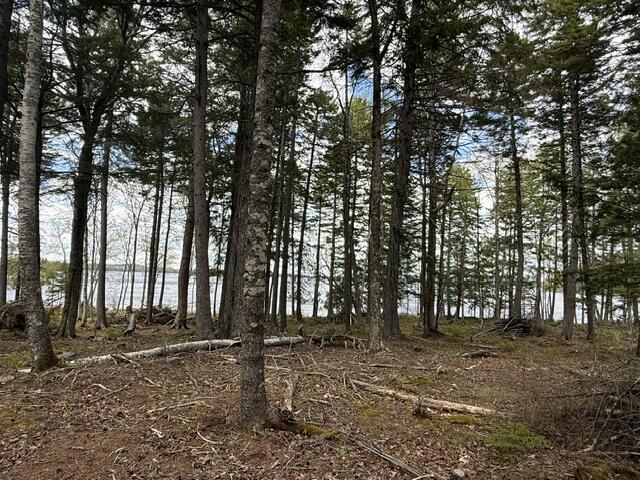 LOT12PART Old Indian Trail Road East Machias ME 04630