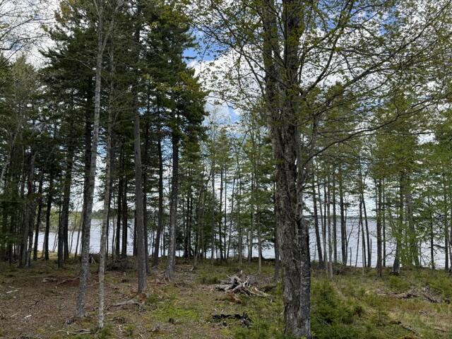 LOT12PART Old Indian Trail Road East Machias ME 04630