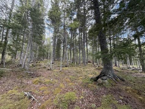 LOT12PART Old Indian Trail Road East Machias ME 04630