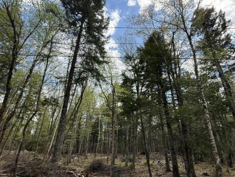 LOT12PART Old Indian Trail Road East Machias ME 04630