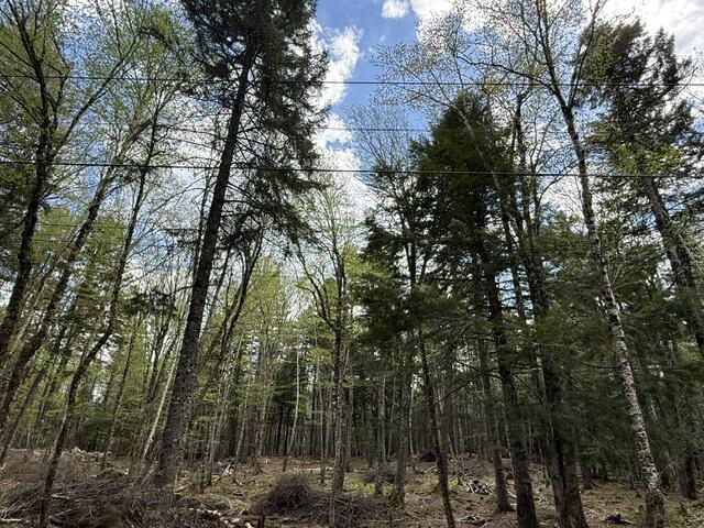 LOT12PART Old Indian Trail Road East Machias ME 04630