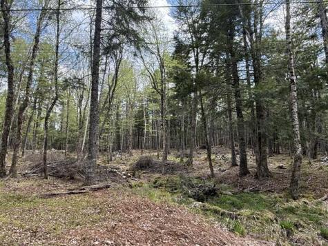 LOT12PART Old Indian Trail Road East Machias ME 04630
