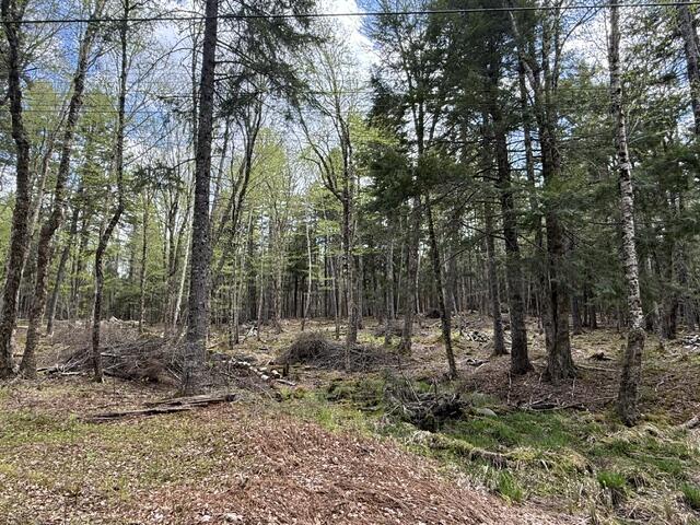 LOT12PART Old Indian Trail Road East Machias ME 04630