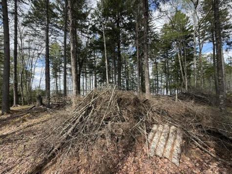 LOT12PART Old Indian Trail Road East Machias ME 04630
