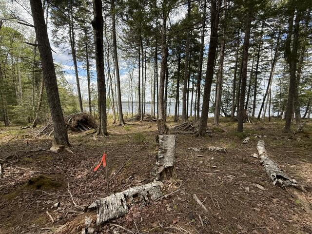 LOT12PART Old Indian Trail Road East Machias ME 04630