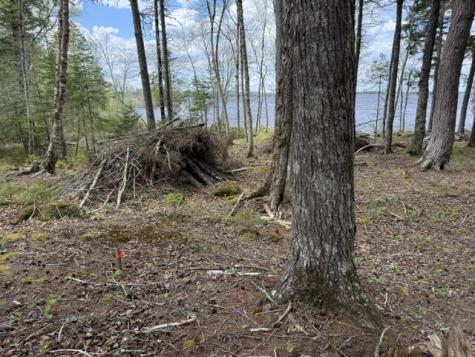 LOT12PART Old Indian Trail Road East Machias ME 04630