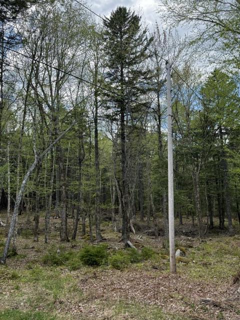 LOT12PART Old Indian Trail Road East Machias ME 04630