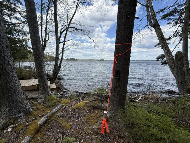 LOT12PART Old Indian Trail Road East Machias ME 04630