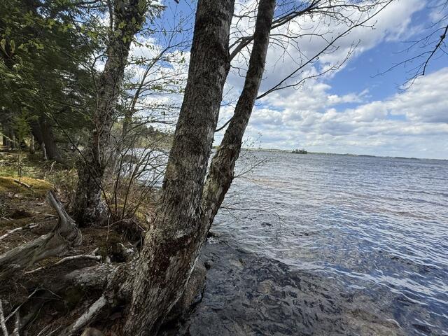 LOT12PART Old Indian Trail Road East Machias ME 04630