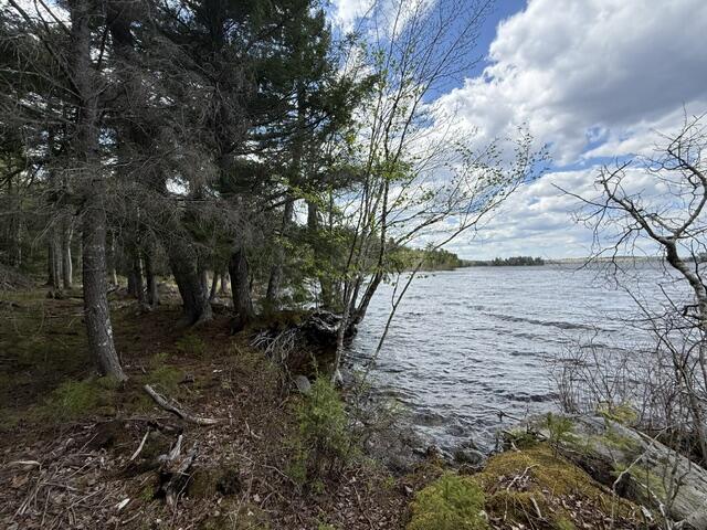 LOT12PART Old Indian Trail Road East Machias ME 04630